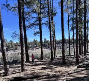 strolling a trail at Fool Hardy State Park in Show Low AZ