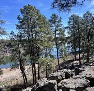 Rocky shoreline and pine-framed views at Fool Hollow Lake