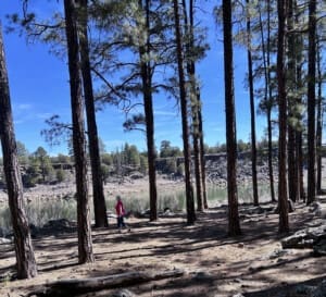 strolling a trail at Fool Hardy State Park in Show Low AZ